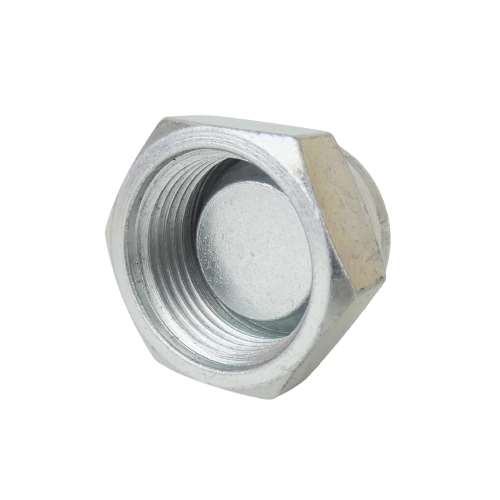 Blanking Cap F 3/4"