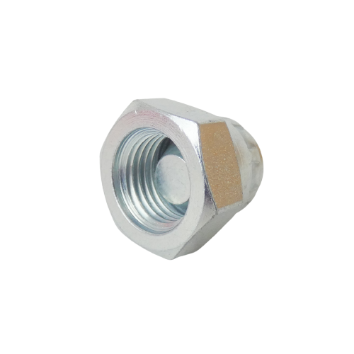 Blanking Cap F 1/4"