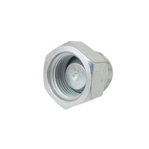 Blanking Cap F 3/8"
