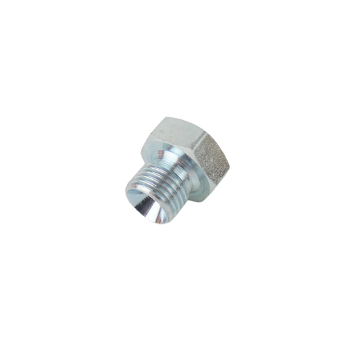 Blanking Plug M 1/4"