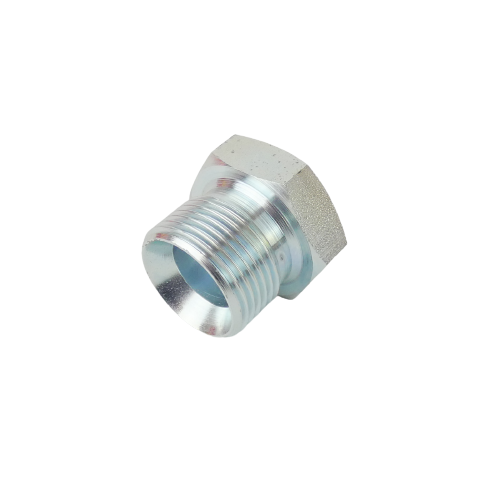 Blanking Plug M 3/4"