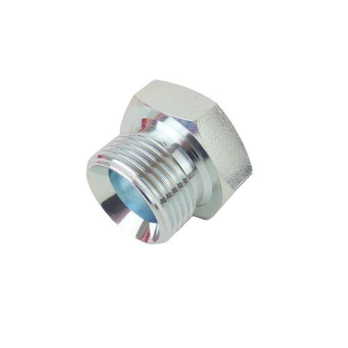 Blanking Plug M 1"
