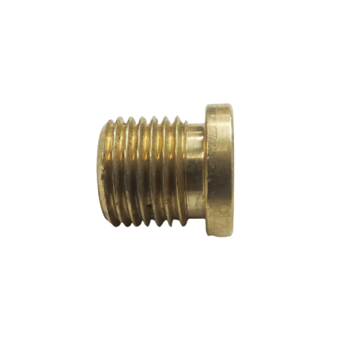 Blanking Plug M Skt 1/4"